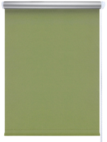 Рулонная штора LEGRAND Блэкаут Сильвер 80.5x175 / 58089694 (зеленый) - 