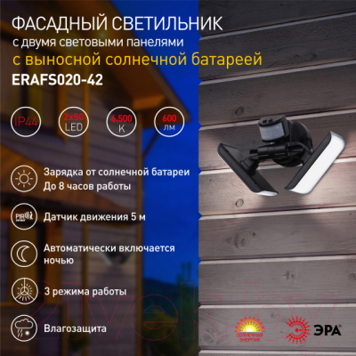 Светильник уличный ЭРА ERAFS020-42 / Б0044490