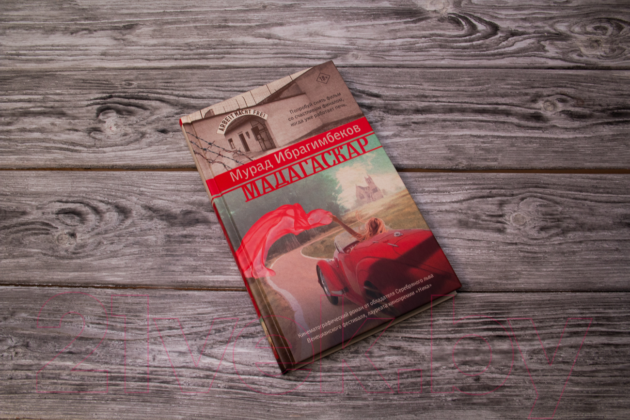 Художественная книга АСТ Мадагаскар. Кинематографический роман (Ибрагимбеков М.М.) — фото 2