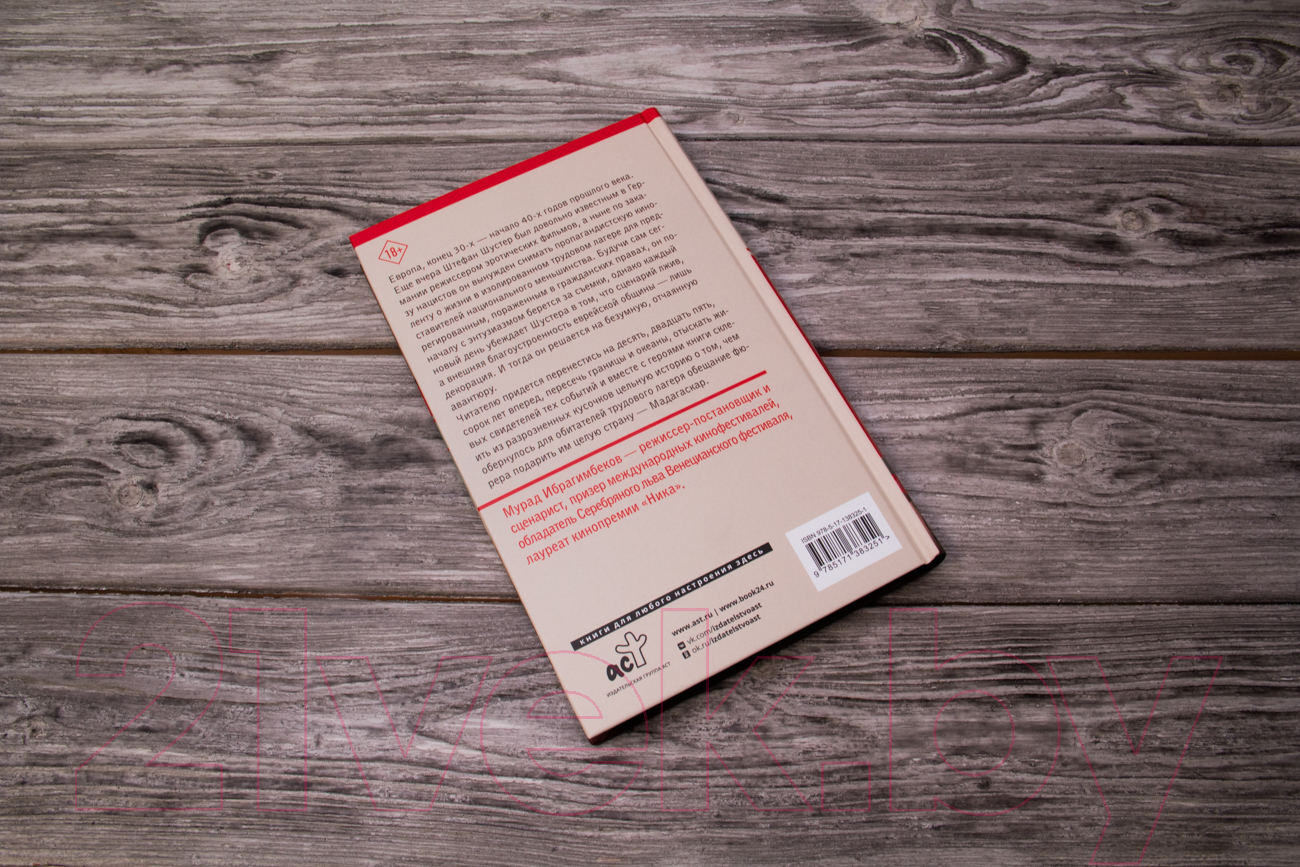 Художественная книга АСТ Мадагаскар. Кинематографический роман (Ибрагимбеков М.М.) — фото 4