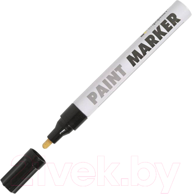 Изображение товара Маркер-краска inФормат Paint Professional KRR04K (черный)
