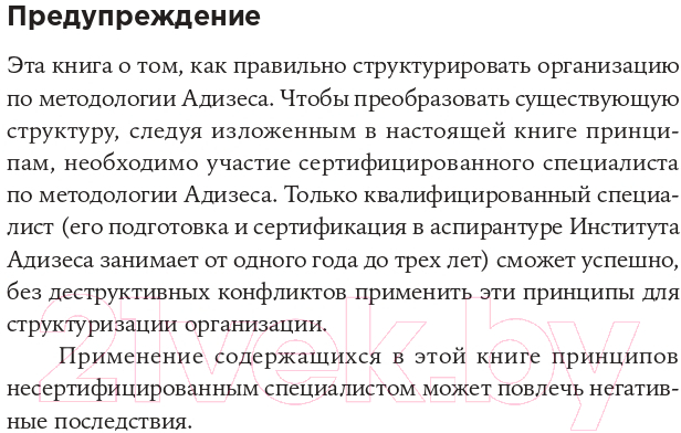Книга Альпина Организационная структура. Реализация стратегии (Сандермоен Ш.) — фото 4