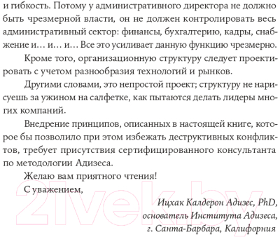 Книга Альпина Организационная структура. Реализация стратегии (Сандермоен Ш.)