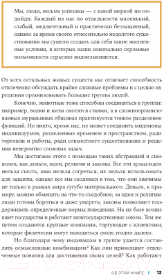 Книга Альпина Организационная структура. Реализация стратегии (Сандермоен Ш.)