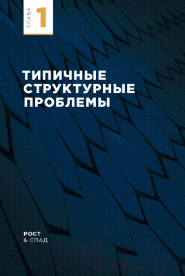 Книга Альпина Организационная структура. Реализация стратегии (Сандермоен Ш.)