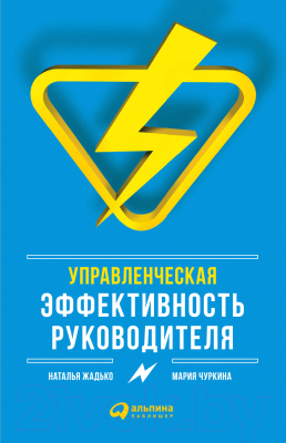 Книга Альпина Управленческая эффективность руководителя (Жадько Н., Чуркина М.)