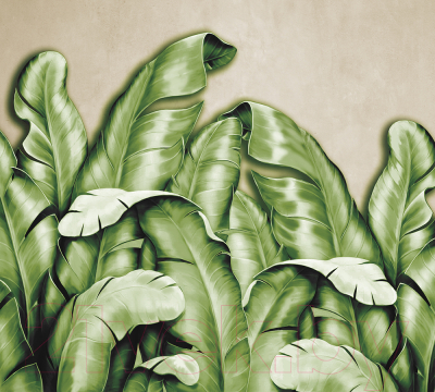Фотообои листовые Vimala Банановые листья зеленые (270x300)