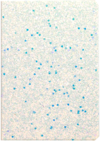 

Записная книжка MC Basir, МС-4984-00 / 25146