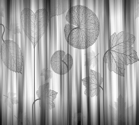Фотообои листовые Vimala Мелоди (270x300) - 