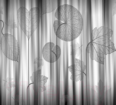 Фотообои листовые Vimala Мелоди (270x300)