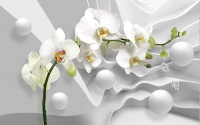 Фотообои листовые Vimala 3D Орхидея и шары (270x400) - 