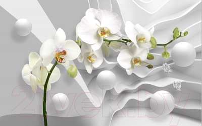 Фотообои листовые Vimala 3D Орхидея и шары (270x400)