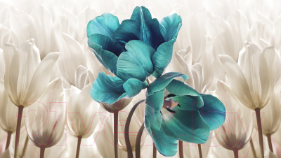 Фотообои листовые Vimala 3D Тюльпаны (270x400)
