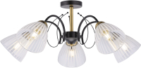 

Люстра Newrgy, Lighting Veneto Luce 40198MDP/5 MBK+AB