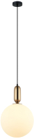 

Потолочный светильник Newrgy, Lighting Veneto Luce 4384MDM/1L BRO BRO+W