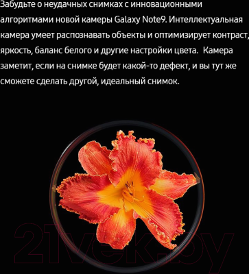 Смартфон Samsung Galaxy Note 9 Dual 512GB / N960F (черный)