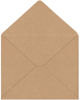 Набор конвертов почтовых Ряжская печатная фабрика С3 / ш/к-1036 (300шт) - 