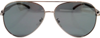 Очки солнцезащитные JBL Polarized 913 (серый/черный) - 