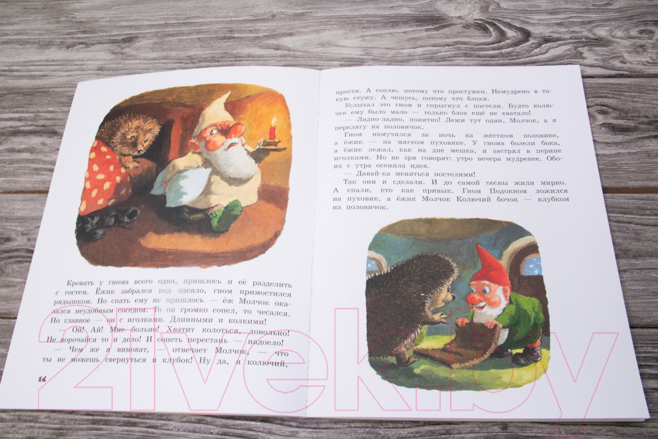 Художественная книга АСТ Ежик Молчок, или История дружбы (Крингс А.) — фото 4