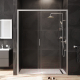 Миниатюра изображения товара Душевая дверь AM.PM Gem W90G-140-1-195MT
