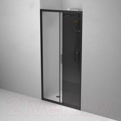 Душевая дверь AM.PM Gem W90G-110-1-195BG