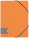 Папка для бумаг Berlingo Fuze / ANp_01316 (оранжевый) - 