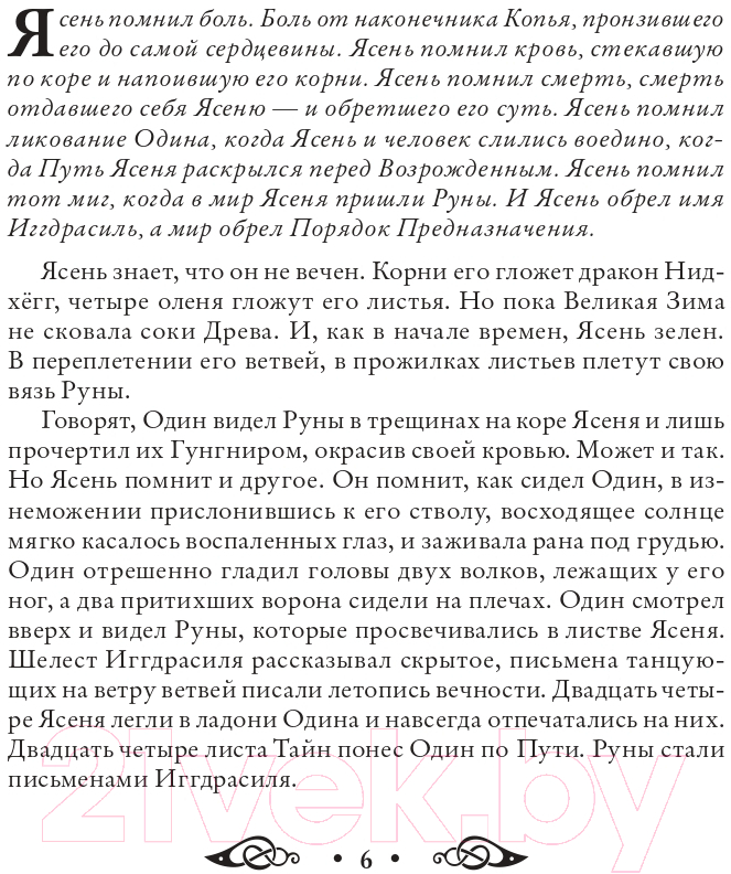 Книга Эксмо Сила рун. Магические практики (Синько О.А.) — фото 6