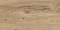 Плитка Cersanit Greenhouse Рельеф 16535 (297x598, коричневый) - 