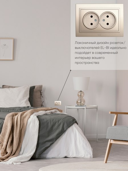 Розетка El-Bi Zena / 500-011420-908 (титан)