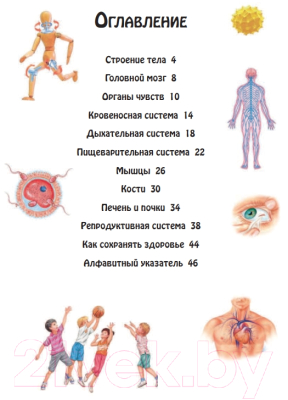 Энциклопедия Эксмо Тело человека (Бакеро М.)