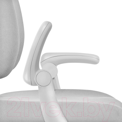 Кресло детское Anatomica Ragenta с подлокотниками (серый)