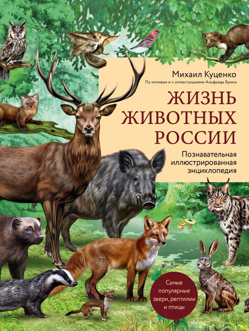Энциклопедия Эксмо Жизнь животных России