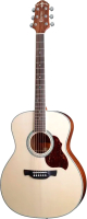 Акустическая гитара JET JOM-255 OP - 