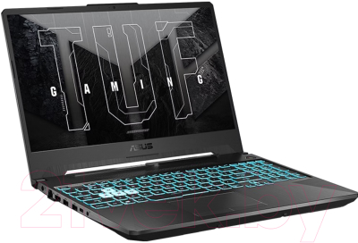Игровой ноутбук Asus TUF Gaming A15 FA506IC-HN042