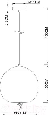 Потолочный светильник Arte Lamp Cody A7768SP-1AB