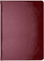Ежедневник Кожевенная Мануфактура Gloss / ENK_11124 (136л, красный) - 