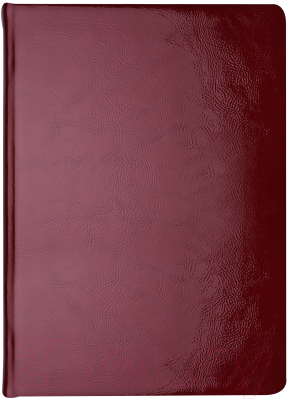 Ежедневник Кожевенная Мануфактура Gloss / ENK_11124 (136л, красный)