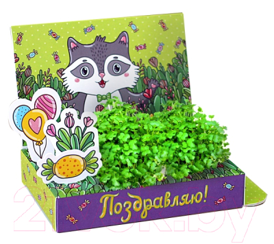 Набор для выращивания растений Happy Plant Веселые моменты. Поздравляю! Енот / hps-220