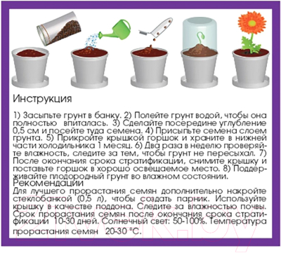 Набор для выращивания растений Rostokvisa Аквилегия / S1498