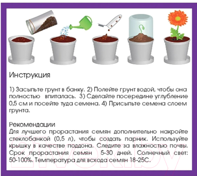 Набор для выращивания растений Rostokvisa Анютины глазки / 80701