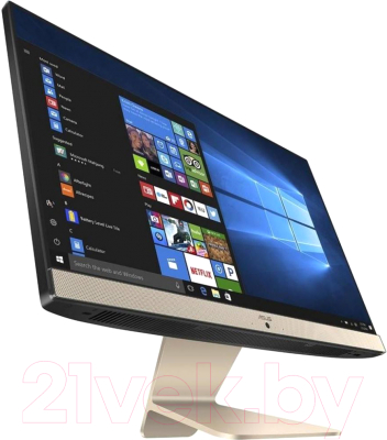 Моноблок Asus Vivo AiO V222GAK-BA076T