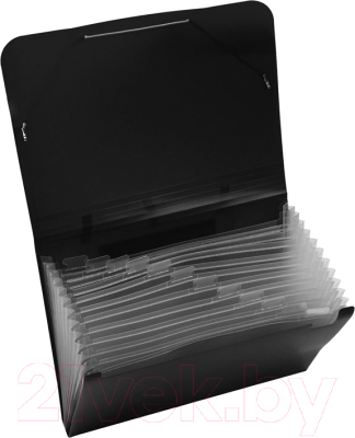 Изображение товара Папка для бумаг OfficeSpace ПНР13Ч_1004 (черный)