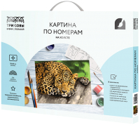 

Картина по номерам, Загадочный взгляд / КХ_44084