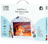 

Картина по номерам, Закат / КХ_44158