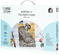

Картина по номерам Три совы, Зебра / КХ_44157