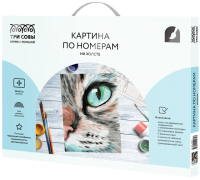 

Картина по номерам, Кошачий взгляд / КХ_44139
