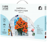 

Картина по номерам Три совы, Маковый цвет / КХ_44103