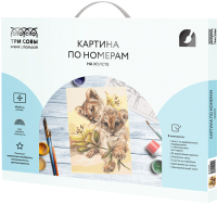 

Картина по номерам Три совы, Милые львята / КХ_44199