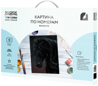 

Картина по номерам Три совы, Мустанг / КХ_44093