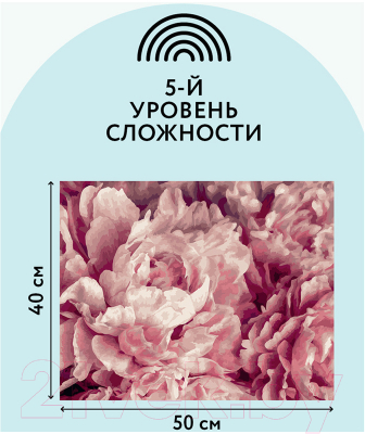 Изображение товара Картина по номерам Три совы Нежные пионы / КХ_44149